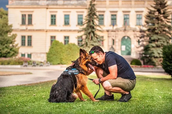 National-Dog-Month Julius-K9 LLC