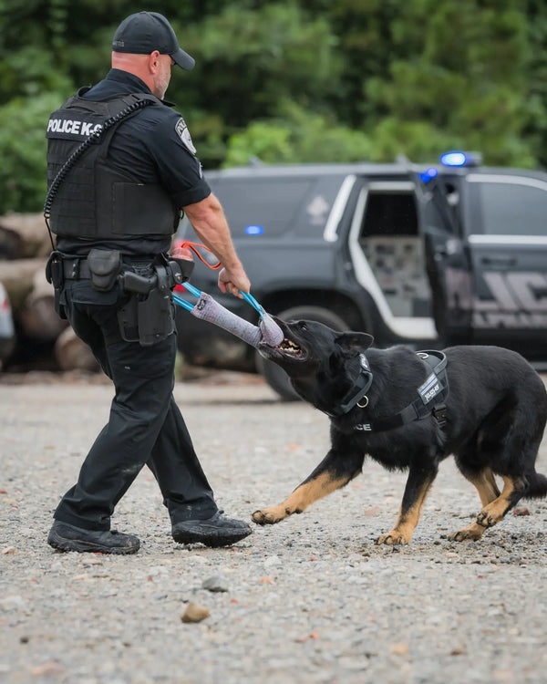 Essential-Tools-Every-K9-Handler-Needs Julius-K9 LLC