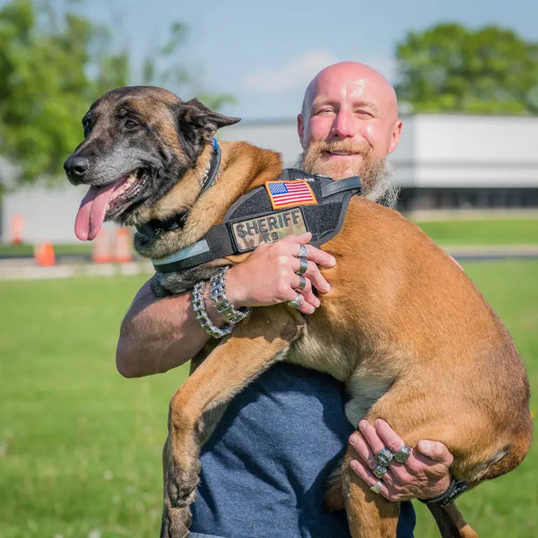 How-To-Measure-Your-Dog-s-Neck-for-a-Collar Julius-K9 LLC