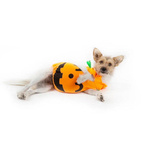 How to Have a Safe Halloween with Your Pet - Julius-K9 LLC