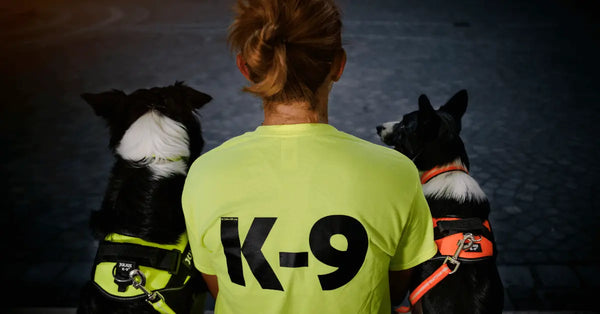 Dog-Training-Agility-Skills-More-For-Your-K9 Julius-K9 LLC
