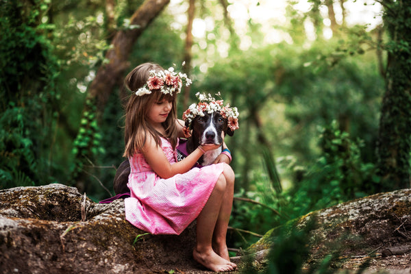 How-to-Teach-Children-to-Interact-with-Animals Julius-K9 LLC