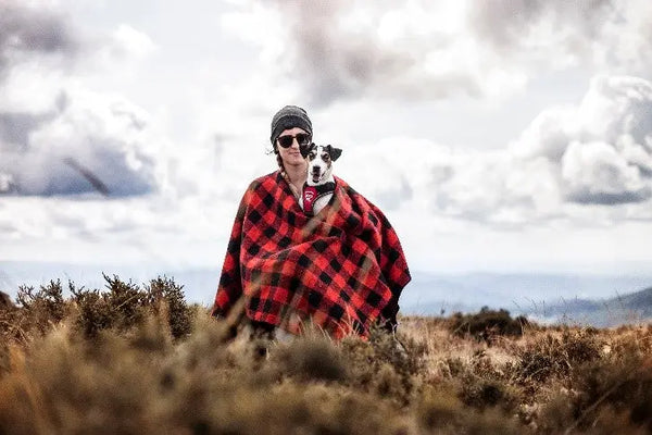 Fall-Activities-with-Your-Dog Julius-K9 LLC