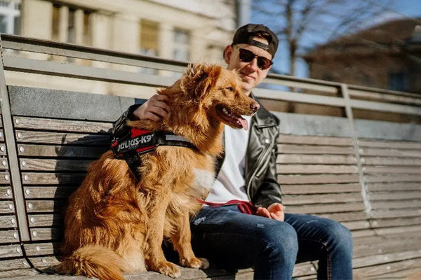National-Pet-Month Julius-K9 LLC