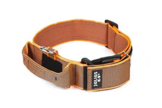 Julius-K9 Color & Gray® Collar with Handle, Safety Lock and Interchangeable Patch - Julius-K9 LLC