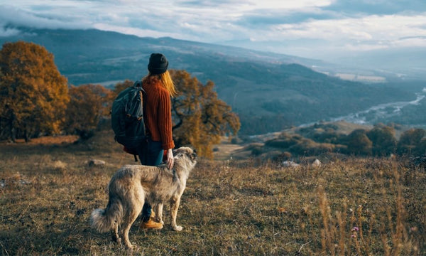 Hiking Gear and Accessories for Dogs