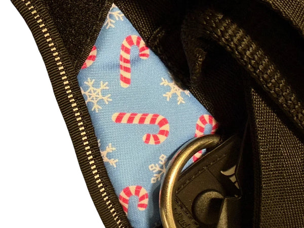 Candy Cane Winter