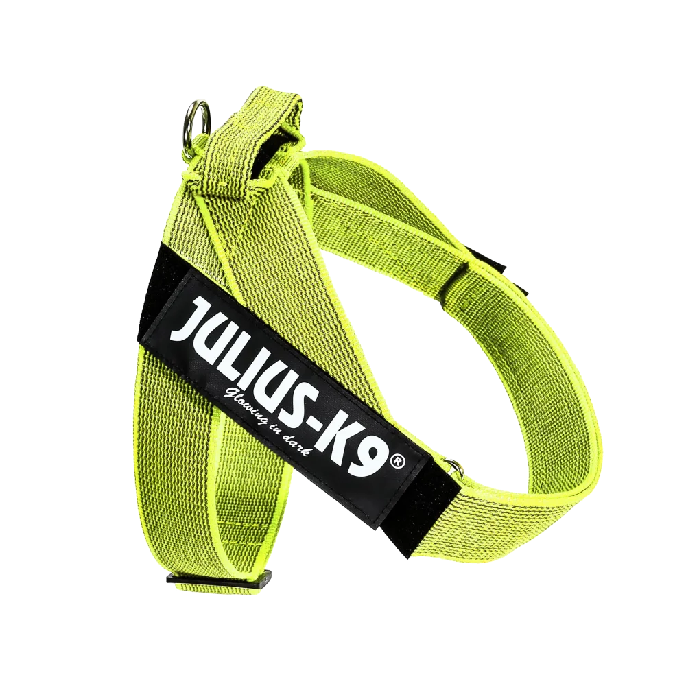 Julius-K9 IDC® Color & Gray®  Belt Harness - Julius-K9 LLC