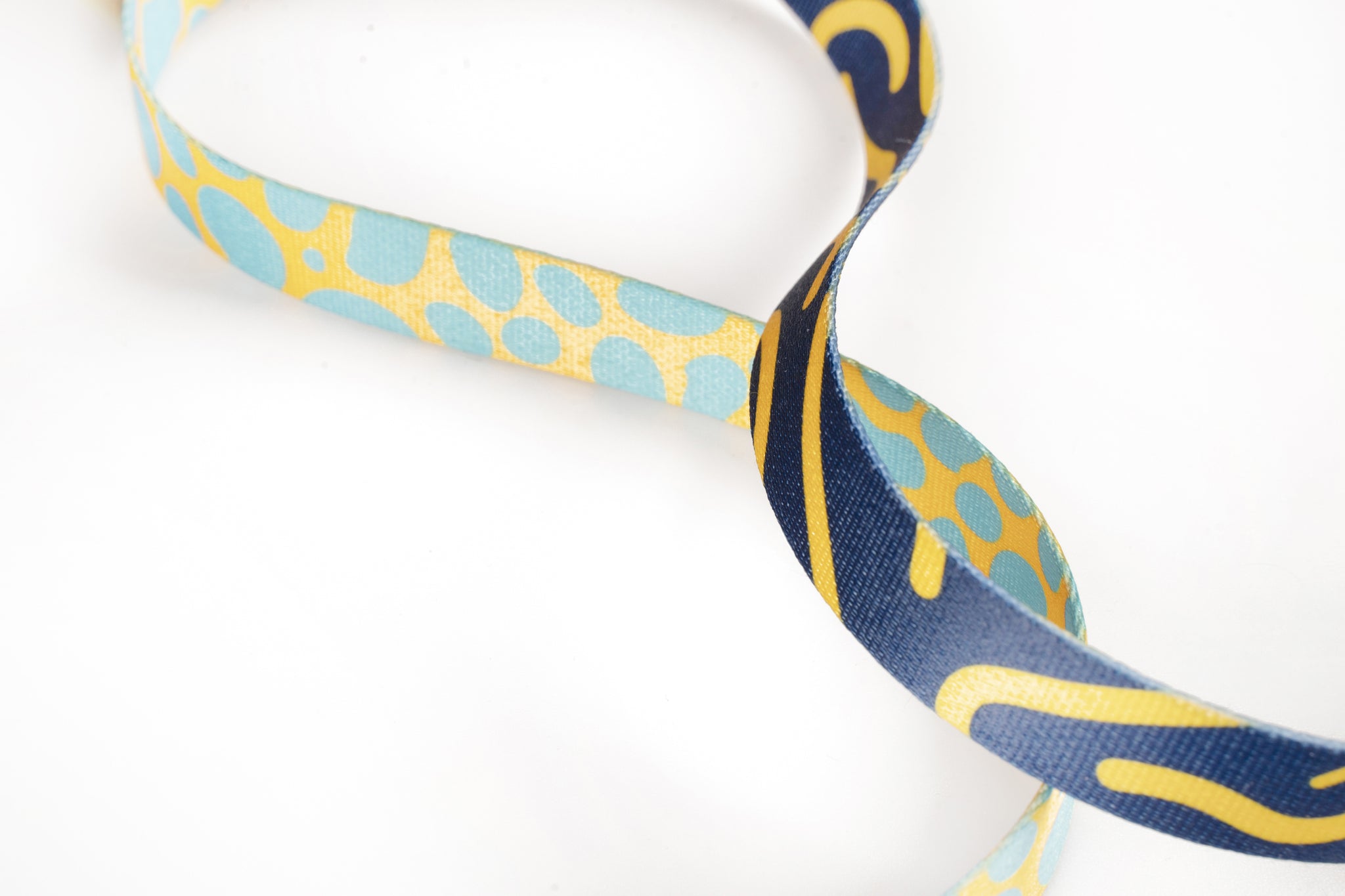 4 Ft Limited Edition Leash