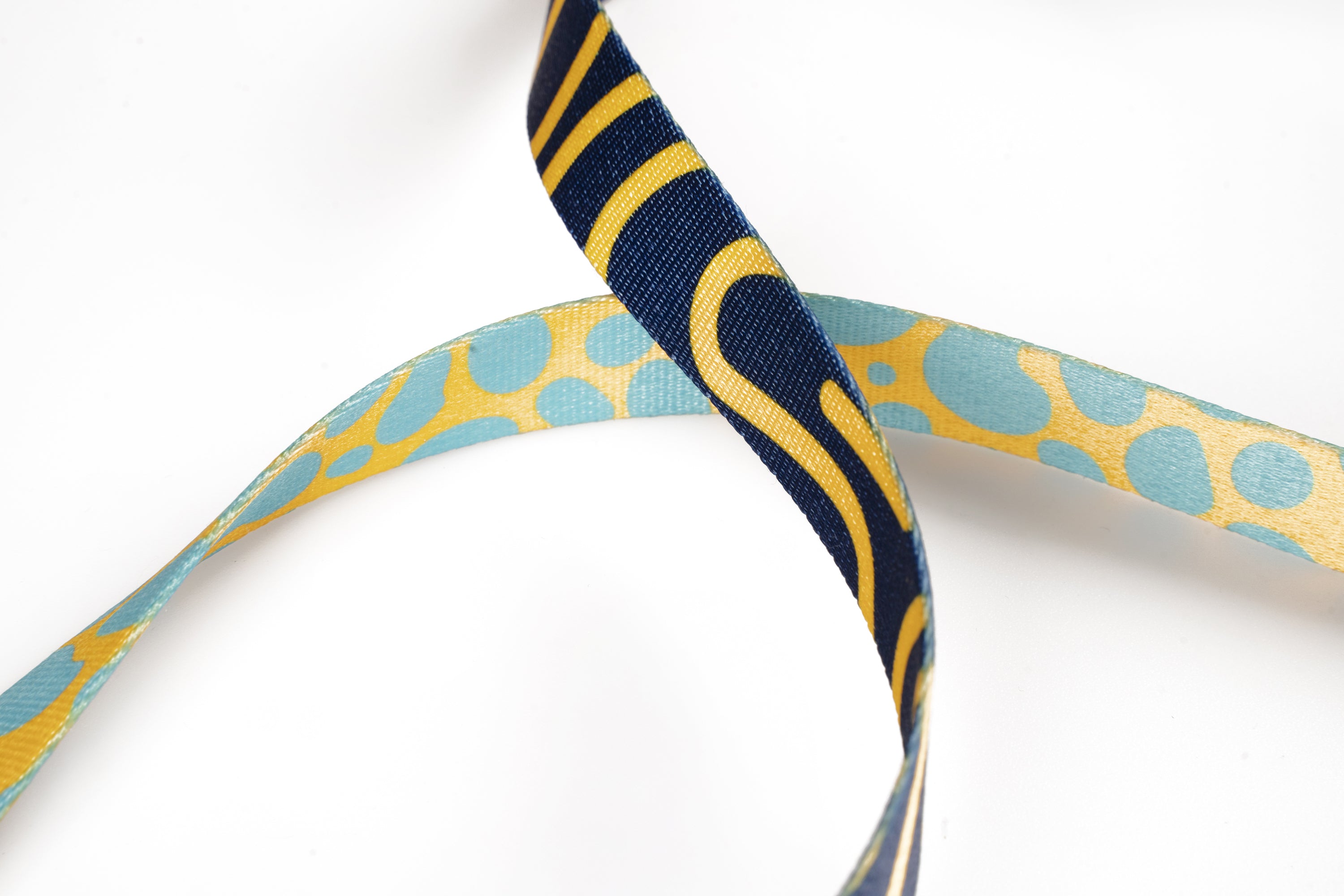 6 Ft Limited Edition Leash