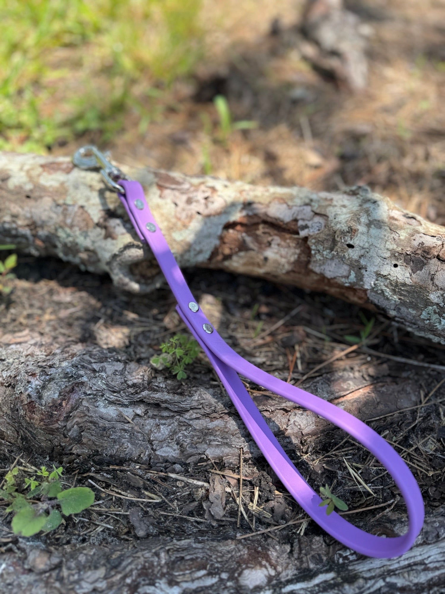 BIOTHANE LEASHES