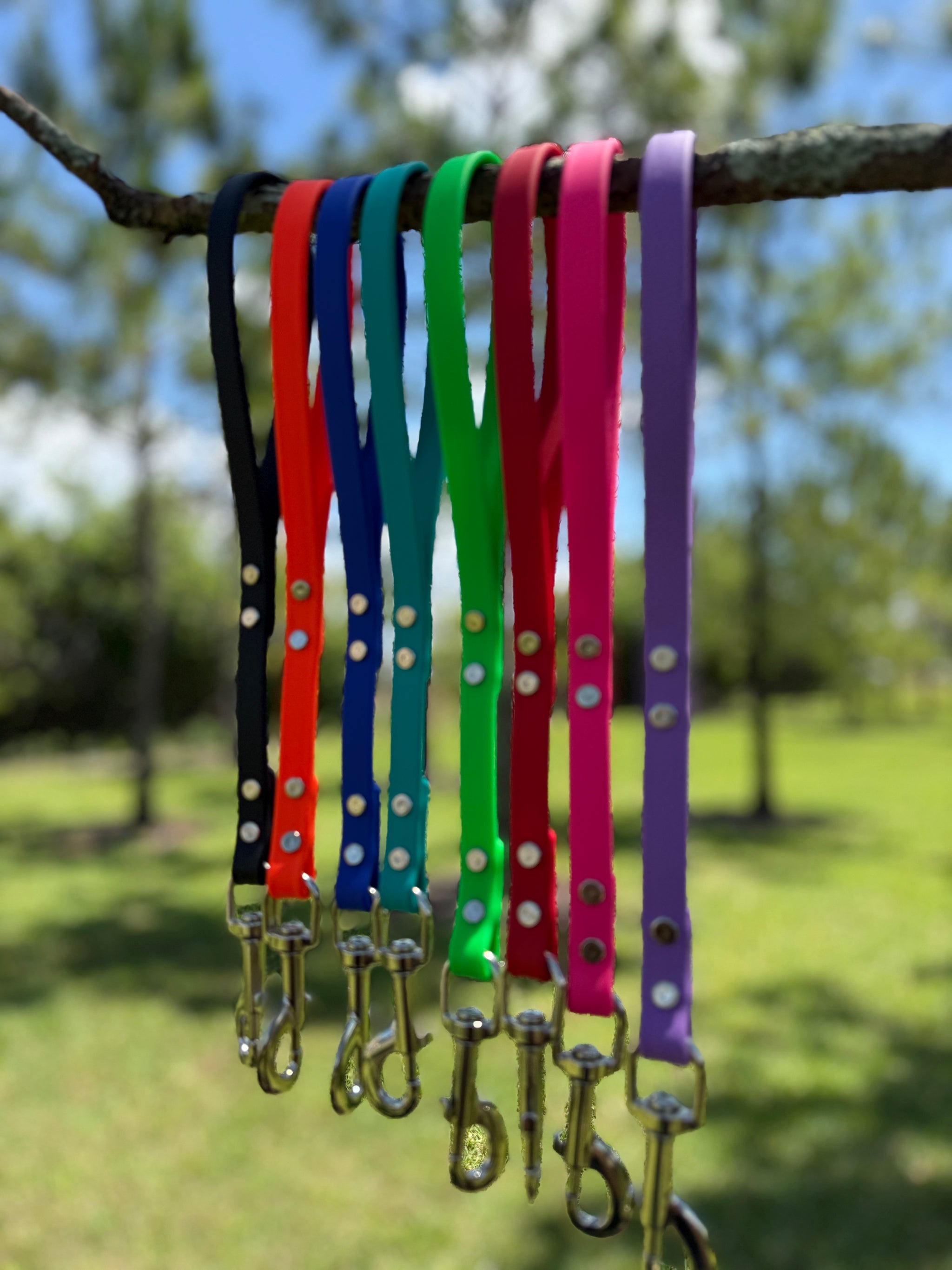 BIOTHANE LEASHES