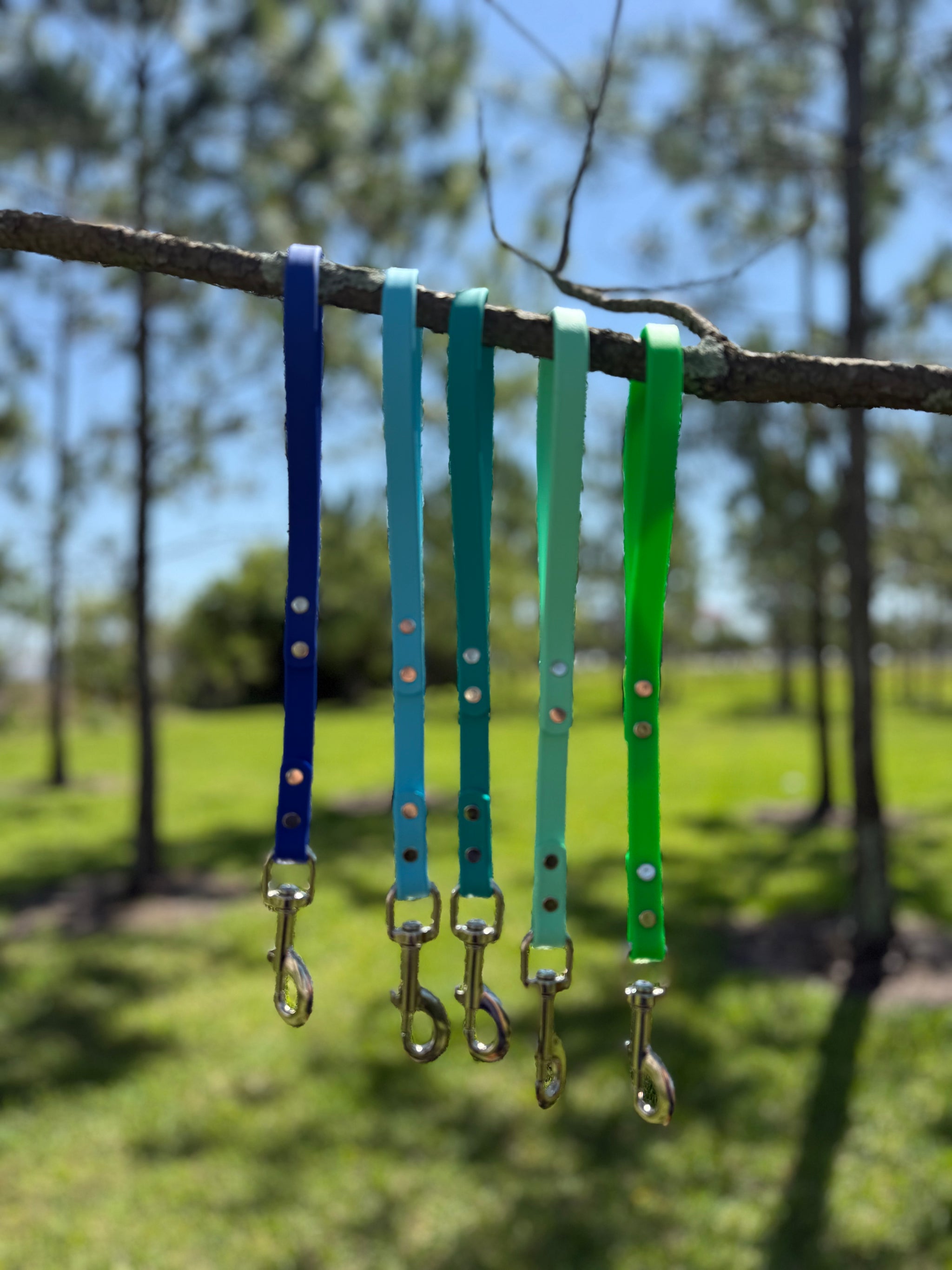 BIOTHANE LEASHES