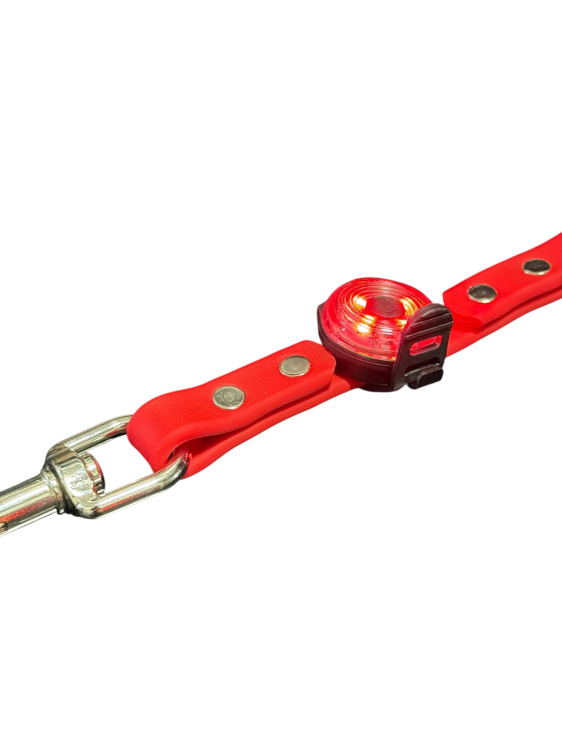 BIOTHANE LEASHES