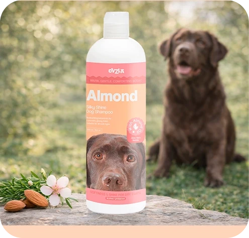 Champú de almendras para perros OVZLA – Pelaje sedoso y brillante para todos los perros