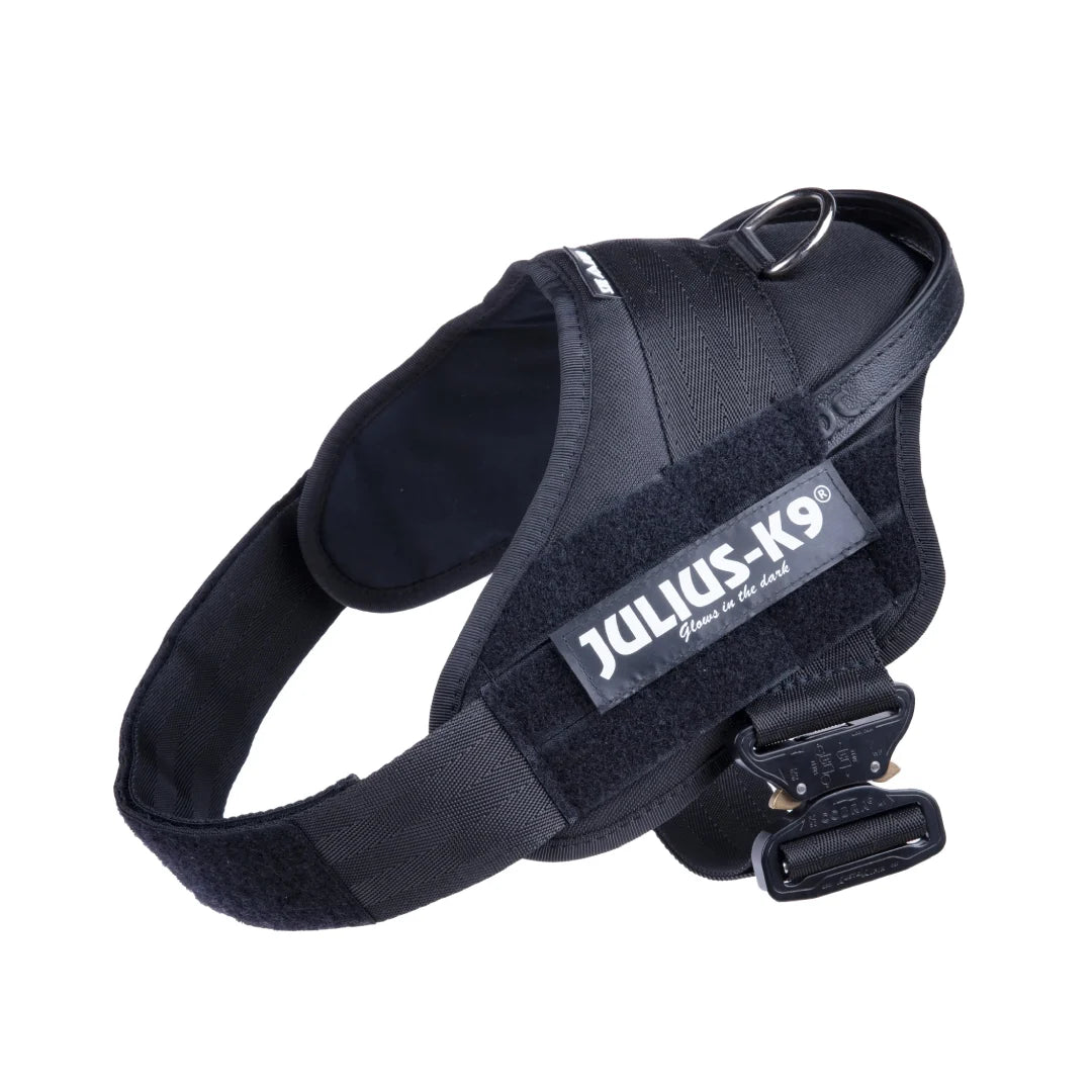 Julius-K9® IDC® Stealth® Powerharness with Cobra®buckles - Julius-K9 LLC