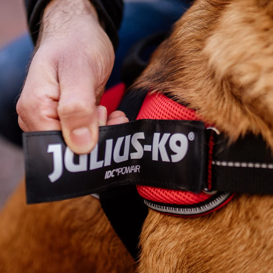 Julius-K9 Custom-Made White Patch for Dogs, Small