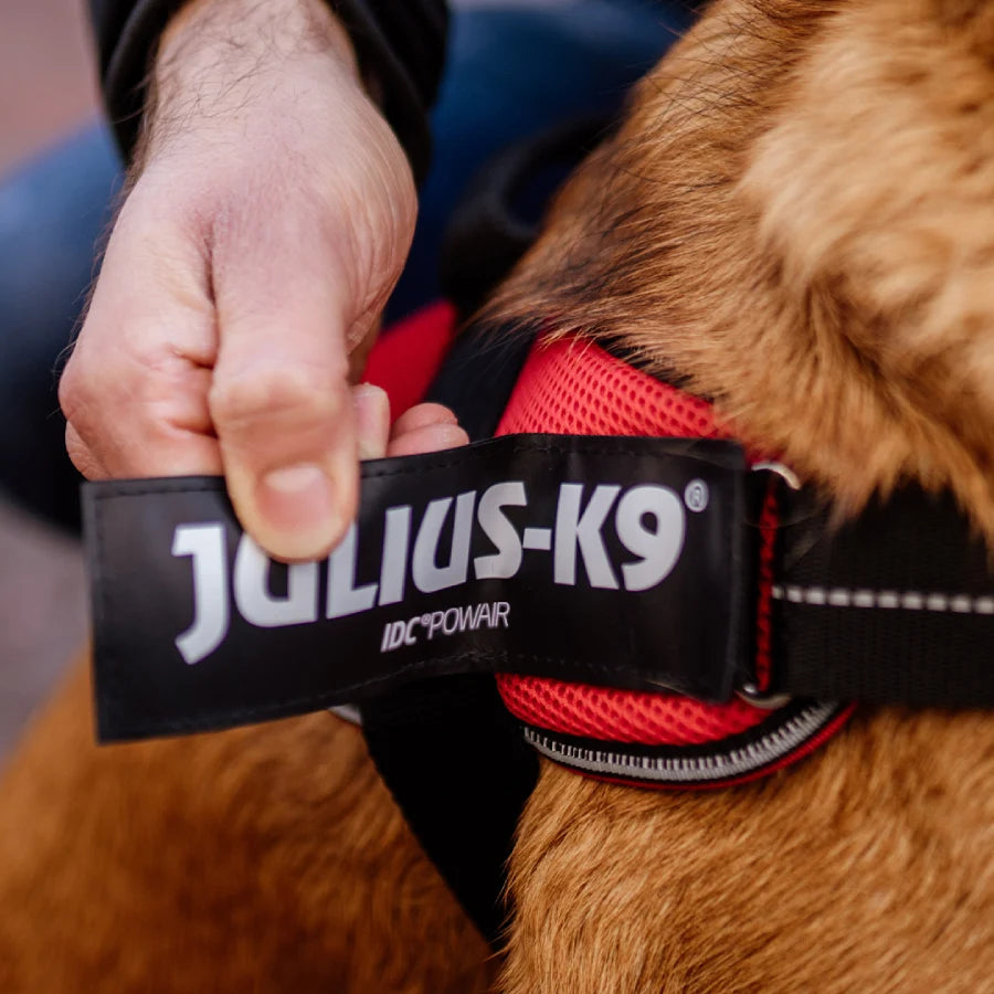 Julius top k9 patch