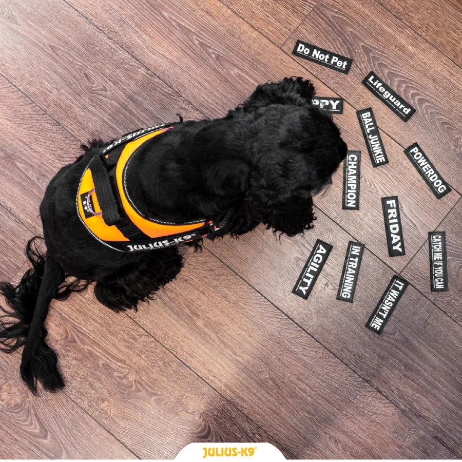 Julius top k9 patch