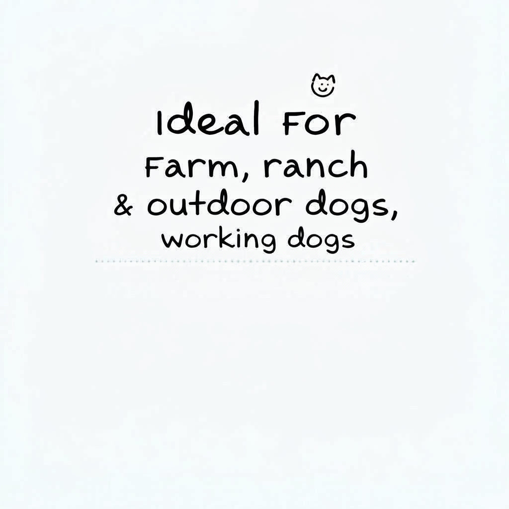OVZLA Dog Shampoo – Avocado, Rosemary & Almond Formulas
