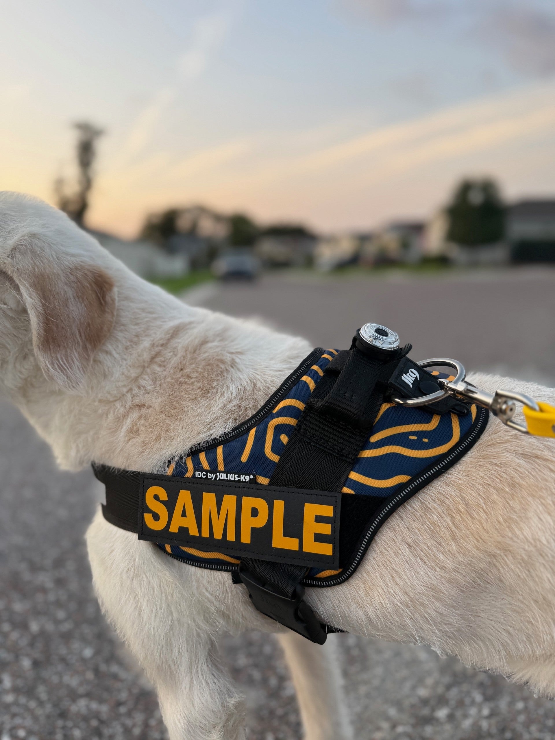 Julius-K9 Original Custom Patches, 1 Piece