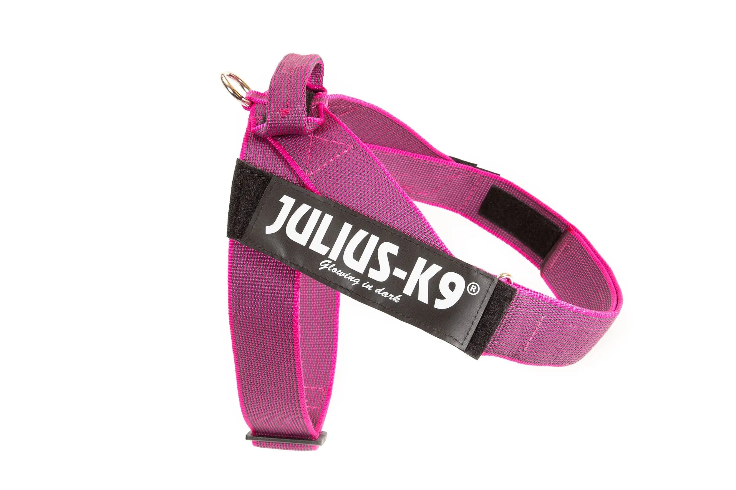 Buy Julius-K9 C&G Harness for your dog