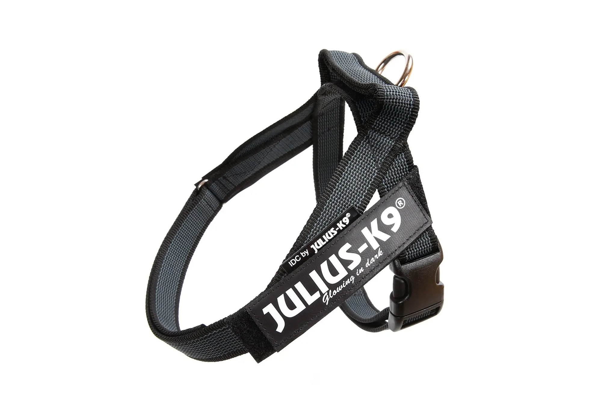 Julius-K9 IDC® Color & Gray®  Belt Harness - Julius-K9 LLC