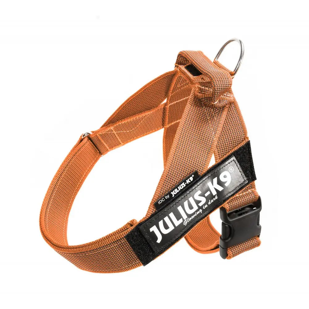 Julius-K9 IDC® Color & Gray®  Belt Harness - Julius-K9 LLC