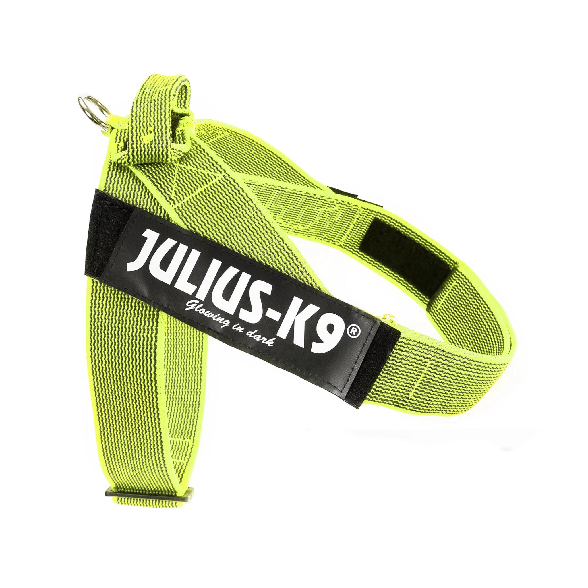 Julius-K9 IDC® Color & Gray®  Belt Harness - Julius-K9 LLC