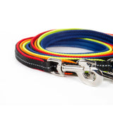 rainbow colored leash