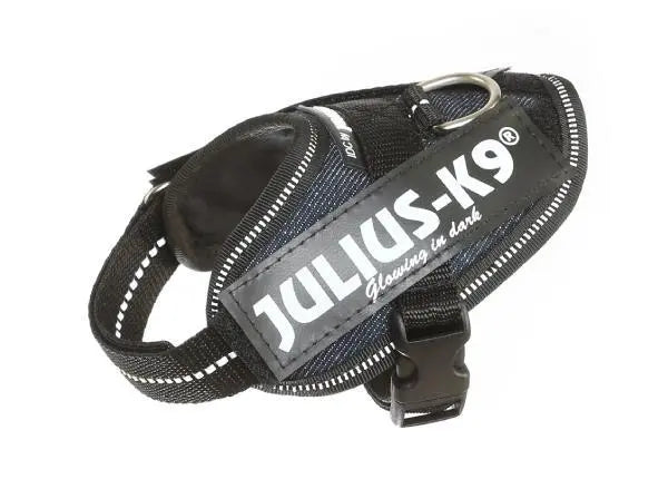 Buy Julius-K9 C&G Harness for your dog