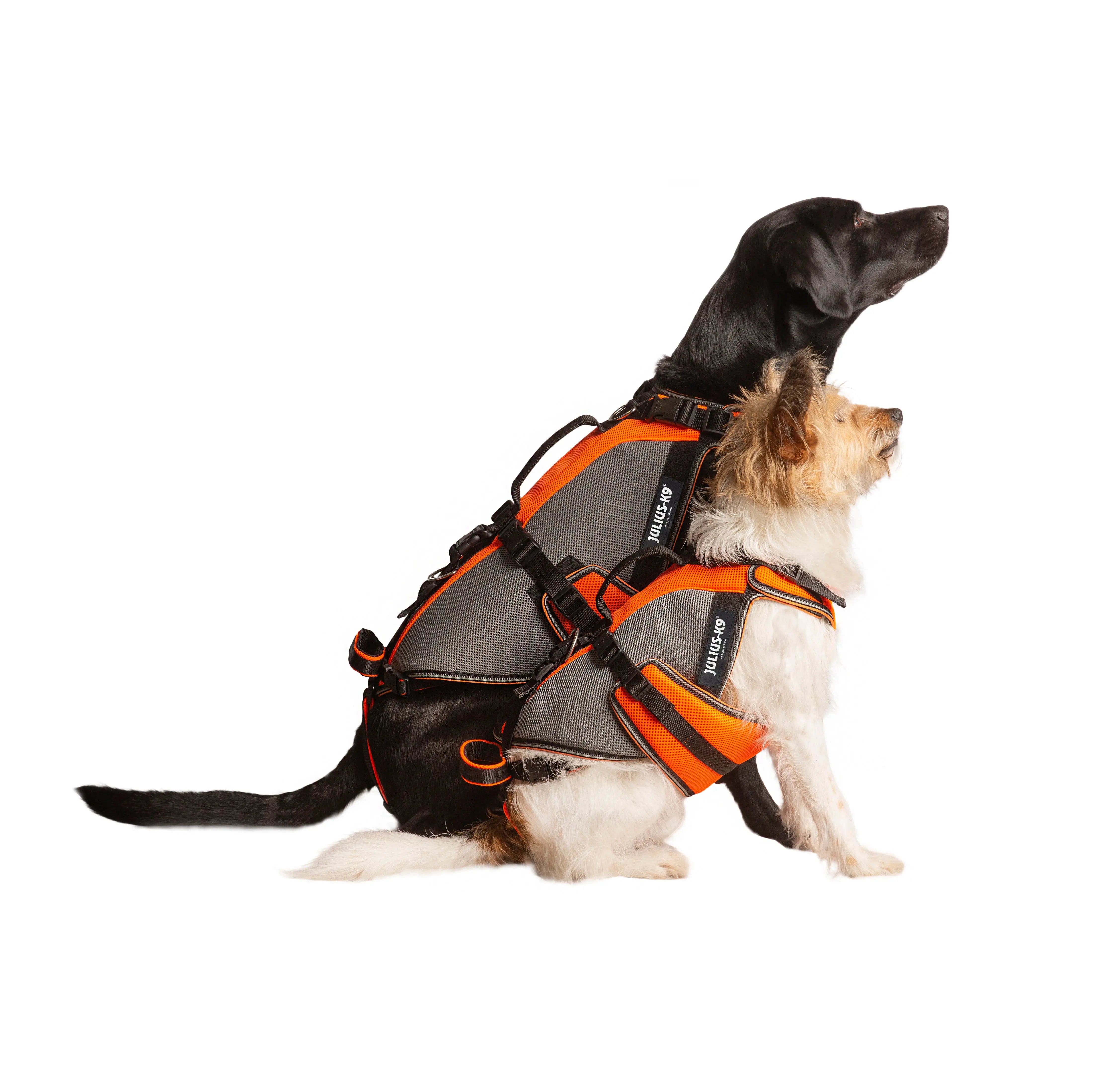 JULIUS K9 Multifunctional IDC 3in1 Dog Vest Life Vest – CANIS