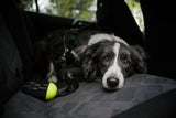 StopDog mobility control car tether